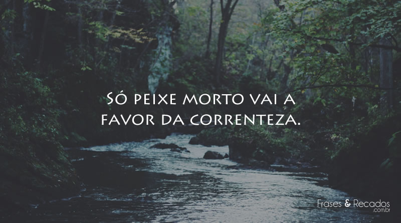 Só peixe morto vai a favor da correnteza.